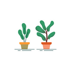 decorative plants logo design vector illustration