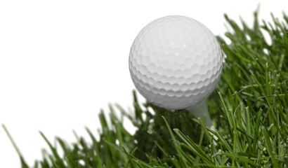 golf ball on a grass