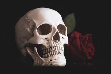 Human skull and flowers. Day of the dead, Dia de los muertos character.