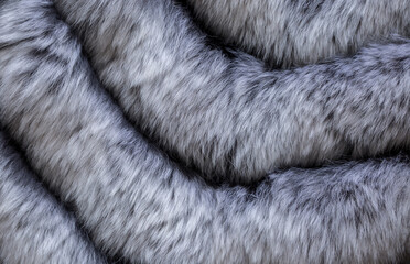 Animal fur close up. Background of gray sable and red fox or chinchilla wool, pile fur texture.