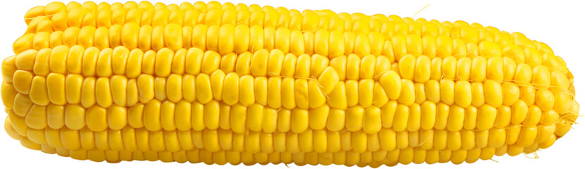 Shucked ear of corn - isolated image