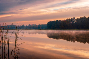 Early, misty autumn morning at the pond. Sunrise. Beautiful colorful sky reflecting in the lake. Sunrise. Grojec, Poland
