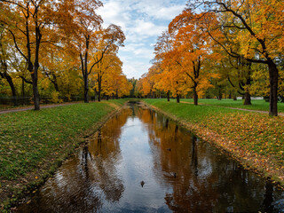 Alexander Park (Tsarskoye Selo). Autumn maples along the banks of the Krestovy Canal.