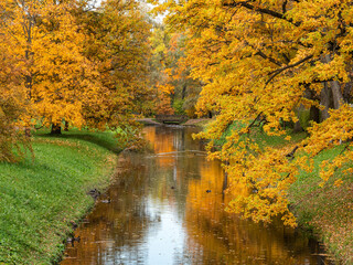 Alexander Park (Tsarskoye Selo). Autumn maples along the banks of the Krestovy Canal.