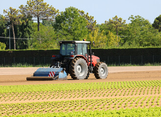 big tractor during the breaking up of the field for sowing the lettuce © ChiccoDodiFC