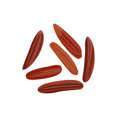 Red rice isolated on white background. Vector illustration of rice seed. Food icon.