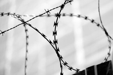 barbed wire of a refugee camp to avoid escapes in Black and White
