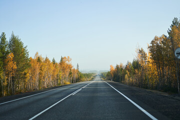 Fototapeta premium Highway through the autumn forest. Autumn forest highway