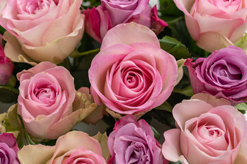 Rose flower bouquet on white background close up