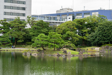 Island in a small pond near by Tokyo bay 