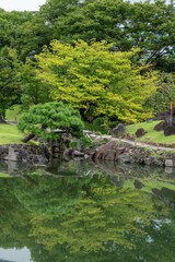 Fototapeta na wymiar Pine trees near a pond in Tokyo metropolitan