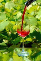 Red wine is pouring in the wine glass, blurred vineyard background