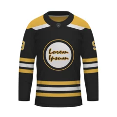 Fototapeten Realistic Ice Hockey shirt of Boston, jersey template © magr80