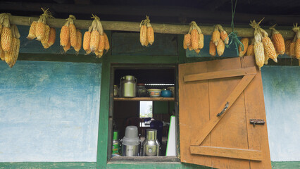 Organic Corn in a Farmer's Home