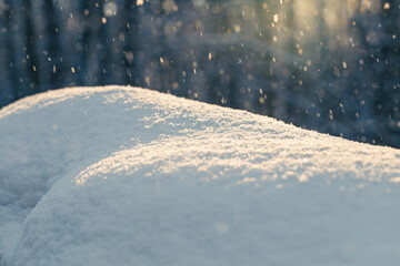 Snowdrifts in the winter forest and falling snowflakes, sparkling in the sunlight.