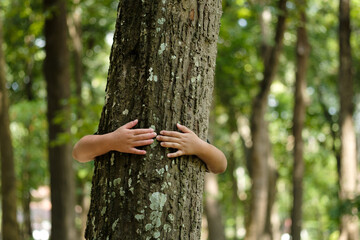 A boy tree hugging in the forest in concept of people love nature and tree to protect from...