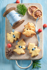 Fototapeta premium Gorgeous butter cookies chain as Christmas ornaments.