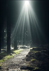 Light effect. Abstract light effect. Sunlight effect. lens flare. light leaks.