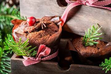 Sweet gingerbread muffins with cranberries and cinnamon for Christmas.