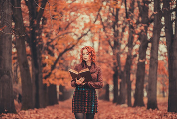 Beautiful girl with red hair in a sweater reads a book in the autumn park, October