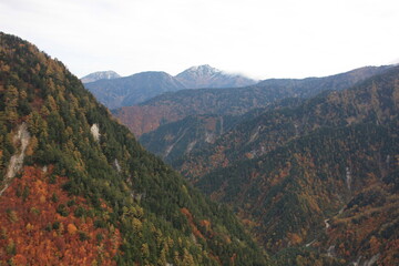 秋の黒部。大観峰からの風景。左から五竜岳・牛首岳・鹿島槍ヶ岳・布引山