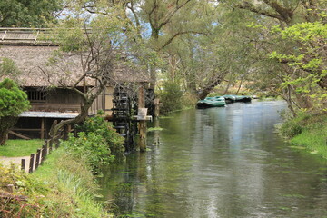 Fototapeta na wymiar 安曇野の風景。湧水が流れる蓼川。水車小屋とボート。