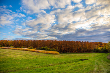 Naklejka premium Schöne Wolken im Herbst am Wald am Abend