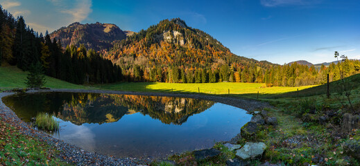 Obraz premium ein Teich bei der Alpe Krähenberg, Sibratsgfäll, in dem sich der herbstlich gefärbte Bergwald spiegelt. blauer, wolkenloser Himmel über buntem Wald im Herbst