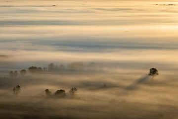 Landscape view in a misty sunrise