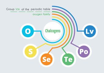 Group 16(6A) of the Periodic Table of Elements. Chalcogens. The oxygen family. Vector color illustration. Poster on the theme of chemistry. Oxygen, sulfur, selenium, tellurium, polonium.