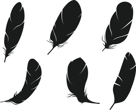 Feather icon set isolated vector Silhouettes