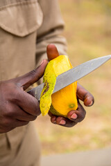 Black man, African man hands holding and peeling fresh mango fruit with a knife,  Rwandan man