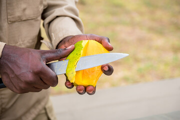 Black man, African man hands holding and peeling fresh mango fruit with a knife, Rwandan man copy space