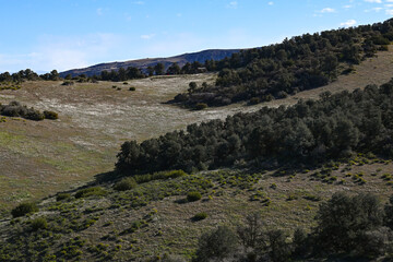 Los Padres National Forest, Kern County