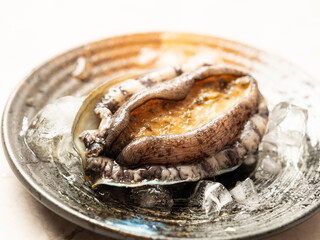 Fresh abalone on a plate