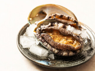Fresh abalone on a small plate