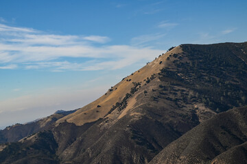 Naklejka premium Figueroa Mountain, Los Padres National Forest