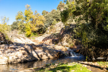 first autumn colors on the banks of the Cofio river in Robledo de Chavela, Madrid