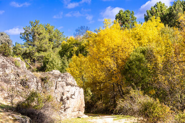 first autumn colors on the banks of the Cofio river in Robledo de Chavela, Madrid