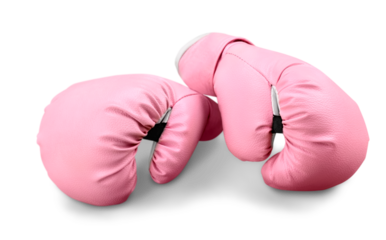 Pink Boxing Gloves