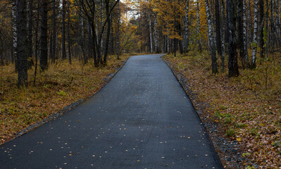 Fototapeta premium Wet asphalt road leading through autumn forest in vibrant colors on a rainy day. Moist paved road in the embrace of lush forest trees in amazing shades of fall season. Beautiful woods in fall shades.