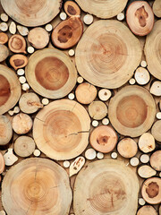 Beautiful wooden texture from saw cuts of trees of different diameters