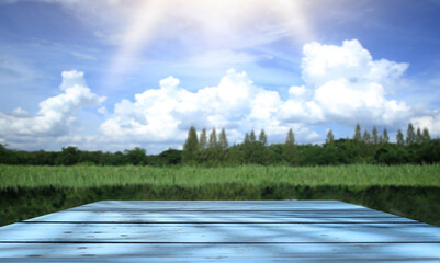 beautiful wooden floor and sky and meadow background