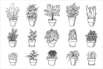 Cute hand drawn houseplant in a pot clipart. Plant illustration. Cozy home doodle set