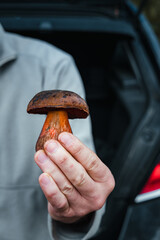 Homme tenant un champignon après la cueillette dans les bois