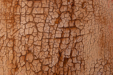 Naklejka premium Background from wooden old boards with cracked paint. Vintage green fence texture as abstract background. Craquelure cracks.