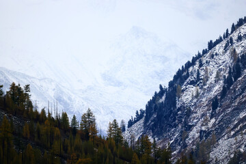 landscape mountain altai, panorama scenery freedom, autumn nature of siberia