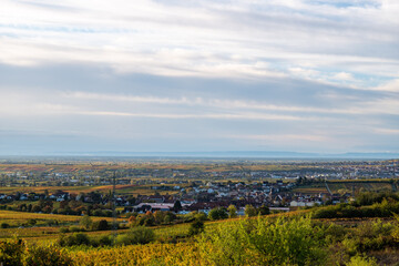 herbststimmung über der rheinebene