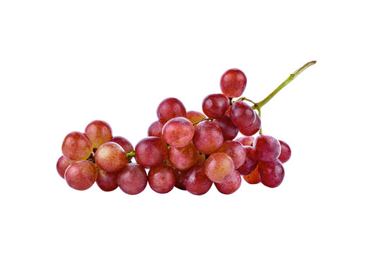 grape  isolated on transparent png