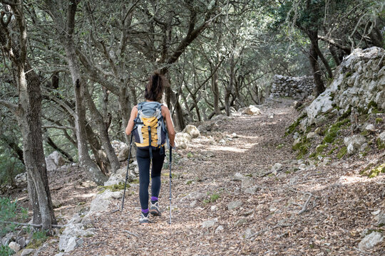 middle-aged woman walking along the path, Coma de Ses Sitges, Puig des Teix, Valldemossa, Majorca, Balearic Islands, Spain